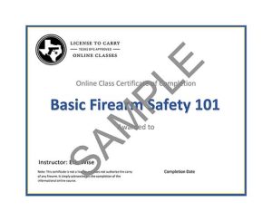 Strategic Defense Academy - Basic Firearm Safety 101 Class - Certificate of Completion